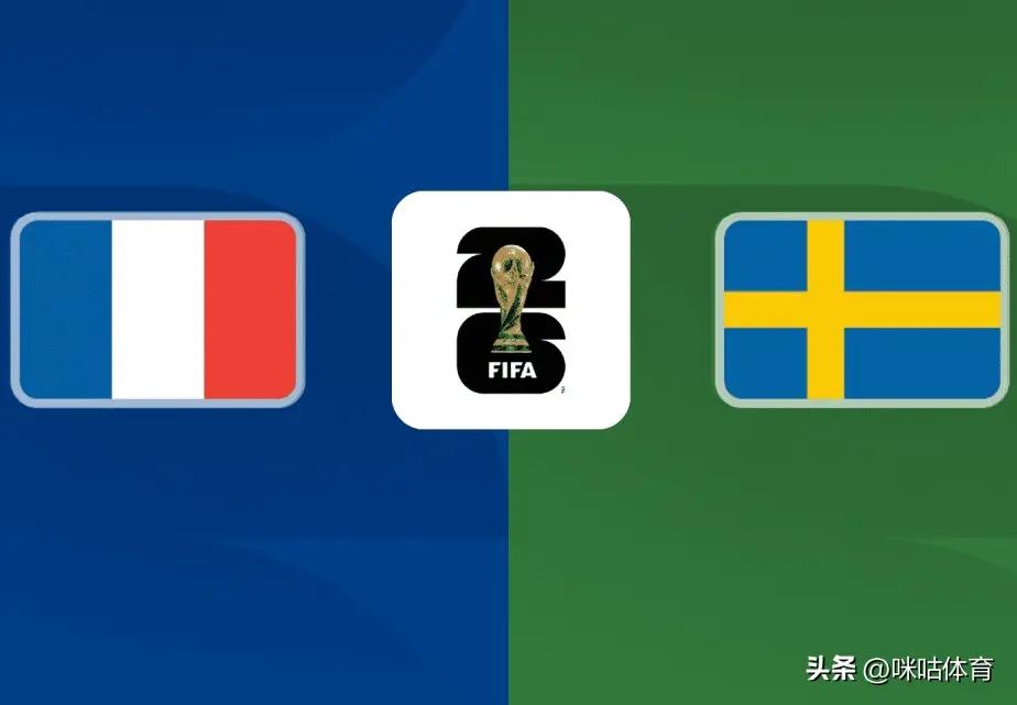 法国vs瑞典
