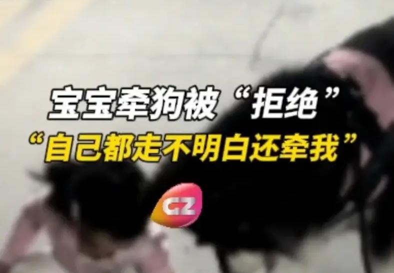 宝宝牵狗被“拒绝”